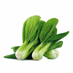 Pak Choy