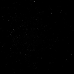 Mickael Raphael Amsellem