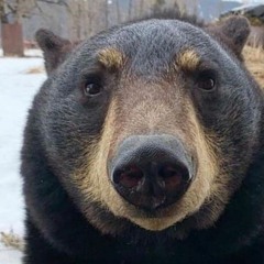 Самостоятельное обследование Самостоятельное обследование