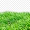 lawn mowing grass