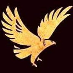 mohamed a. kamel ♪ ❹ ♫✪