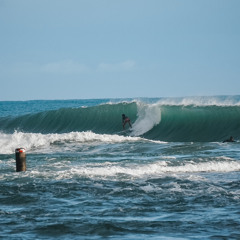 David Haylock