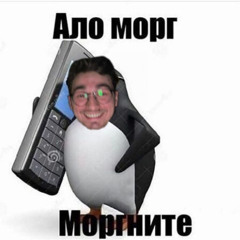 sofilikid