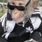creepyoldman