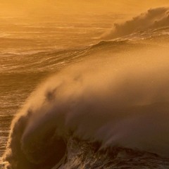 🇵🇰Wahidoo🇦🇫