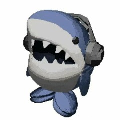 s a n e k