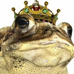 KingToad