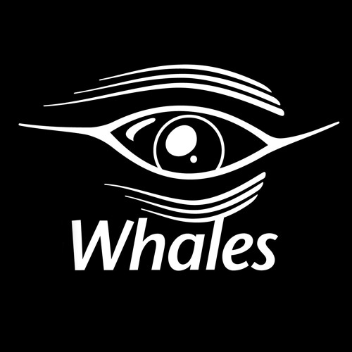 Whales’s avatar