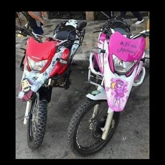 novinho