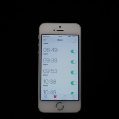 Xeno-Canto (Songs to the Sun)