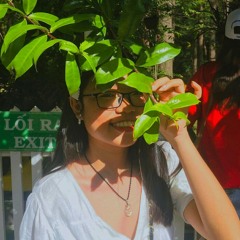 ngô kim anh