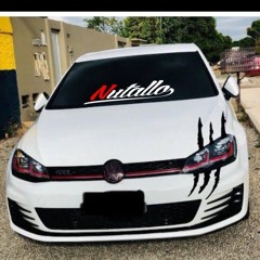 Gustavo _1502