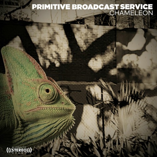 Primitive Broadcast Service’s avatar