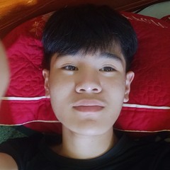 Q.Linh Mix