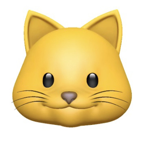 kitty’s avatar