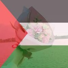 سورة الكهف القارئ علي عبدالسلام اليوسف
