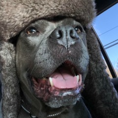 8MM-Stuning- (Between the Sheets remix)