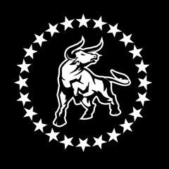 FS Bulls