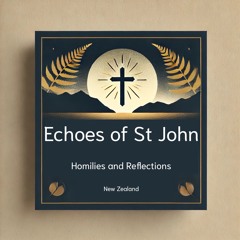 Echoes of St. John: Homilies and Reflections