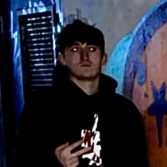David Steinhauer