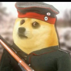 sad german doge ):