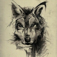 gaz wolf