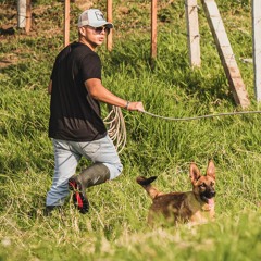 Manuel Montenegro 3