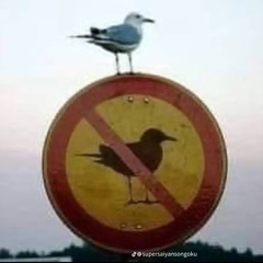 dboy🏌️‍♂️