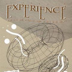 EXPERIENCE