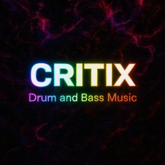 dnb CRITIX