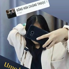 Thanhmaii