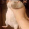 Zachary_420