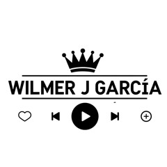 Wilmer J Garcia