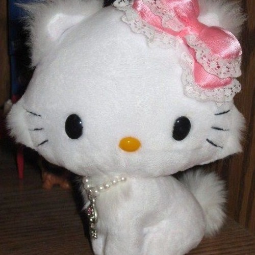 charmmy kitty enthusiast’s avatar