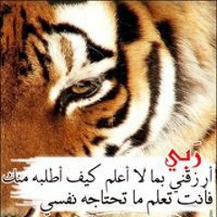 Ahmed Talat Saed