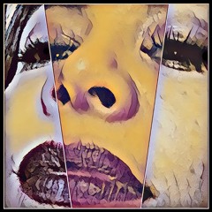 Manystylz