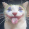 Inf3rno Drag0n