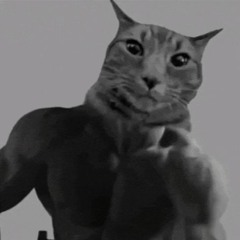 Sigma Cat