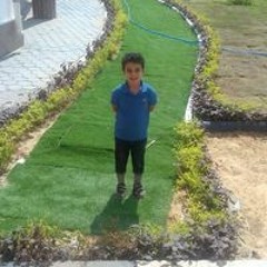 علي