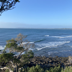 Tasman Lambert Andrews