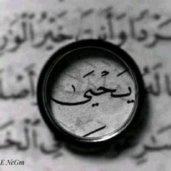 Omnia bahaa