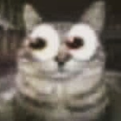 ♱Σchσ♱