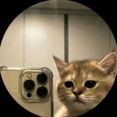 Miau da silva