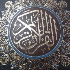 User 700157317