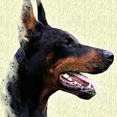 Doberman ☠️