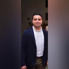 Hassan Alaa Eldin