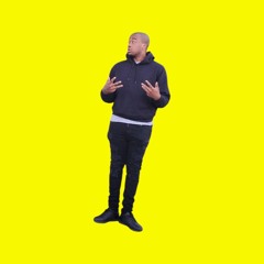 Luhmerda - The main STEPPER