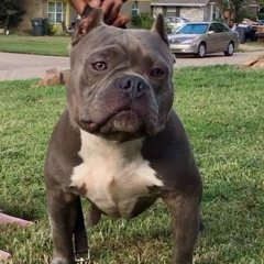 TaeMula405