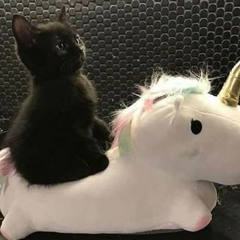 skullbodypurse🏴‍☠️😝💫