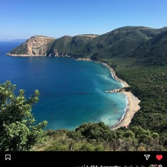 سمير سبتي